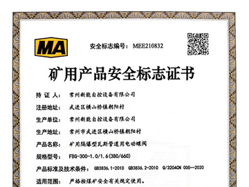 瓦斯阀煤安证_FBG300
