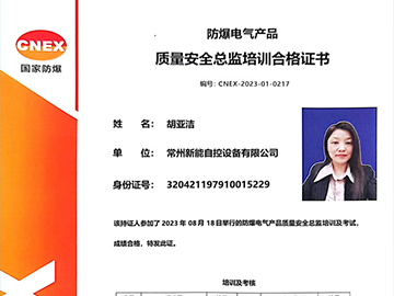 质量安全总监培训合格证书